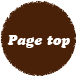 Page top